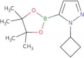 1-cyclobutyl-pyrazole-5-boronic acid pinacol ester