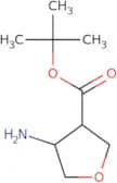 rac-tert-Butyl (3R,4R)-4-aminooxolane-3-carboxylate
