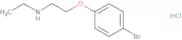 [2-(4-Bromophenoxy)ethyl](ethyl)amine hydrochloride