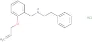 (2-Phenylethyl)({[2-(prop-2-en-1-yloxy)phenyl]methyl})amine hydrochloride