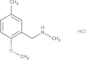[(2-Methoxy-5-methylphenyl)methyl](methyl)amine hydrochloride