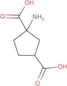 cis-ACPD