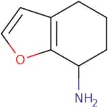 4,5,6,7-Tetrahydro-1-benzofuran-7-amine