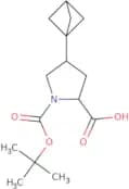 (2S)-4-{Bicyclo[1.1.1]pentan-1-yl}-1-[(tert-butoxy)carbonyl]pyrrolidine-2-carboxylic acid