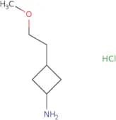 3-(2-Methoxyethyl)cyclobutan-1-amine hydrochloride