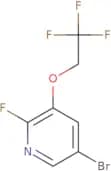 5-Bromo-2-fluoro-3-(2,2,2-trifluoroethoxy)pyridine