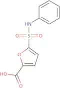 5-(Phenylsulfamoyl)furan-2-carboxylic acid