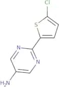 2-(5-Chlorothiophen-2-yl)pyrimidin-5-amine