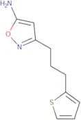 3-[3-(Thiophen-2-yl)propyl]-1,2-oxazol-5-amine