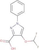 4-(Difluoromethoxy)-1-phenyl-1H-pyrazole-3-carboxylic acid