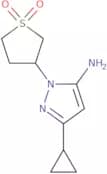 5-cyclopropyl-2-(1,1-dioxothiolan-3-yl)pyrazol-3-amine