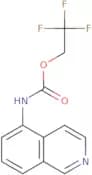 2,2,2-Trifluoroethyl N-(isoquinolin-5-yl)carbamate