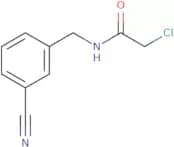 2-Chloro-N-[(3-cyanophenyl)methyl]acetamide