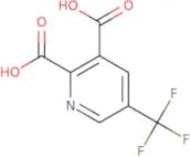 5-(Trifluoromethyl)pyridine-2,3-dicarboxylic acid