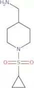 ([1-(Cyclopropylsulfonyl)piperidin-4-yl]methyl)amine