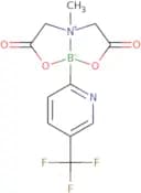 6-Methyl-2-[5-(trifluoromethyl)pyridin-2-yl]-1,3,6,2-dioxazaborocane-4,8-dione
