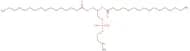 16:0 Monomethyl PE