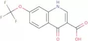 4-Hydroxy-7-trifluoromethoxyquinoline-3-carboxylic acid