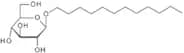 Dodecyl b-D-galactopyranoside
