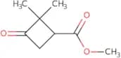 Methyl 2,2-dimethyl-3-oxocyclobutane-1-carboxylate
