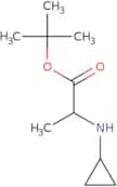 tert-Butyl 2-(cyclopropylamino)propanoate