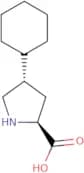 trans-4-Cyclohexyl-L-proline