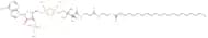 21:0 Coenzyme A