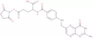 Folic NHS ester