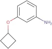 3-Cyclobutoxyaniline