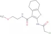 2-(2-Chloroacetamido)-N-(2-methoxyethyl)-4,5,6,7-tetrahydro-1-benzothiophene-3-carboxamide