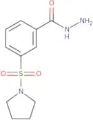 3-(Pyrrolidine-1-sulfonyl)benzohydrazide