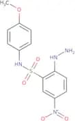 2-Hydrazinyl-N-(4-methoxyphenyl)-5-nitrobenzene-1-sulfonamide