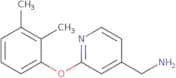 [2-(2,3-Dimethylphenoxy)pyridin-4-yl]methanamine