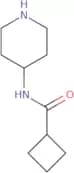 N-(Piperidin-4-yl)cyclobutanecarboxamide
