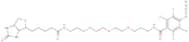 Biotin-dPEG®3-TFPA
