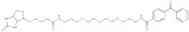 Bis-dPEG&reg;9-NHS Ester