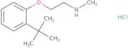 [2-(2-tert-Butylphenoxy)ethyl](methyl)amine hydrochloride