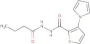 N'-Butanoyl-3-(1H-pyrrol-1-yl)thiophene-2-carbohydrazide