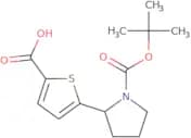 5-{1-[(tert-Butoxy)carbonyl]pyrrolidin-2-yl}thiophene-2-carboxylic acid