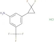3-(2,2-Difluorocyclopropyl)-5-(trifluoromethyl)aniline hydrochloride
