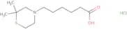 6-(2,2-Dimethylthiomorpholin-4-yl)hexanoic acid hydrochloride