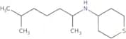 N-(6-Methylheptan-2-yl)thian-4-amine