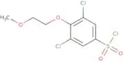 3,5-Dichloro-4-(2-methoxyethoxy)benzene-1-sulfonyl chloride