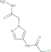 2-Chloro-N-{1-[(methylcarbamoyl)methyl]-1H-pyrazol-4-yl}acetamide