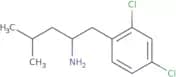1-(2,4-Dichlorophenyl)-4-methylpentan-2-amine