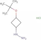 [3-(tert-Butoxy)cyclobutyl]hydrazine hydrochloride