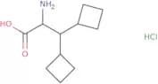 2-Amino-3,3-dicyclobutylpropanoic acid hydrochloride