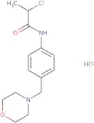 2-Chloro-N-[4-(morpholin-4-ylmethyl)phenyl]propanamide hydrochloride