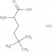 2-Amino-5,5-dimethylhexanoic acid hydrochloride