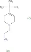 2-(4-tert-Butyl-1,2,3,6-tetrahydropyridin-1-yl)ethan-1-amine dihydrochloride